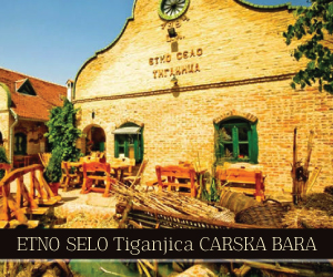 baner300x250